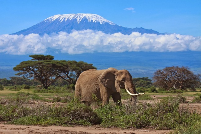 El monte Kilimanjaro en Tanzania